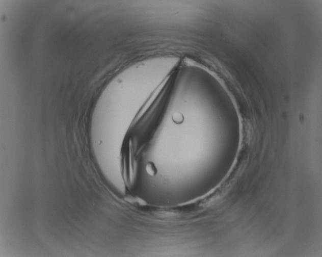 X0000067910313200604271924