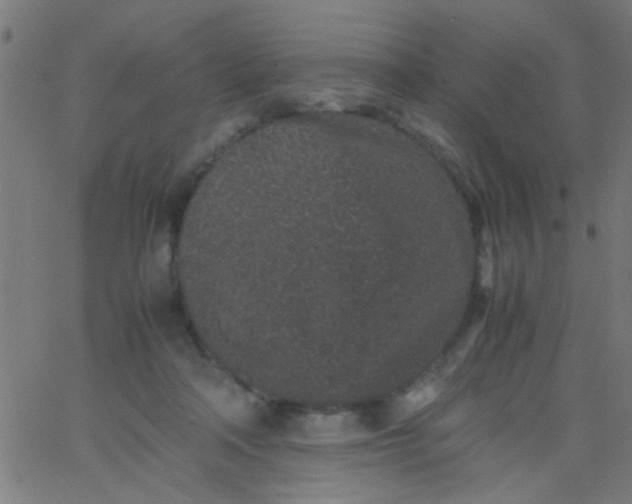 X0000067910314200604271924