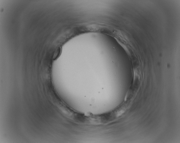 X0000067910317200604271924