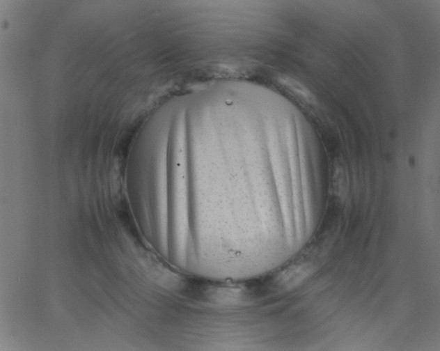 X0000067910318200604271924