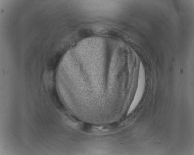 X0000067910319200604271924