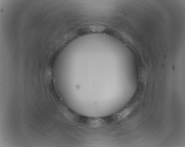 X0000067910321200604271924