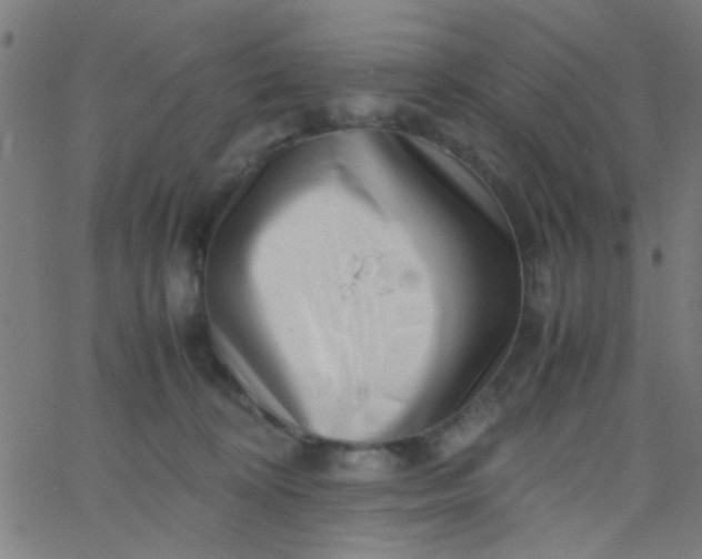 X0000067910324200604271924