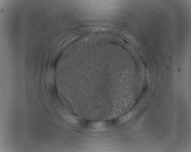 X0000067910325200604271924