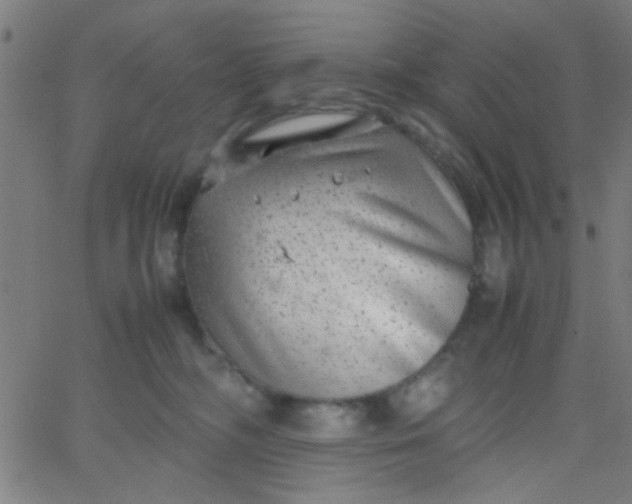 X0000067910326200604271924