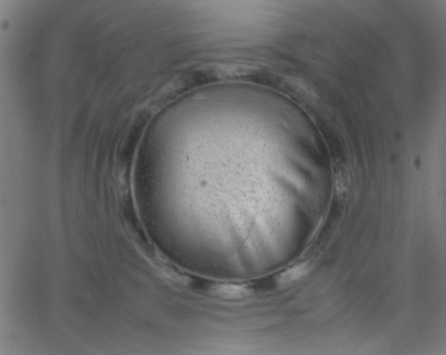 X0000067910327200604271924