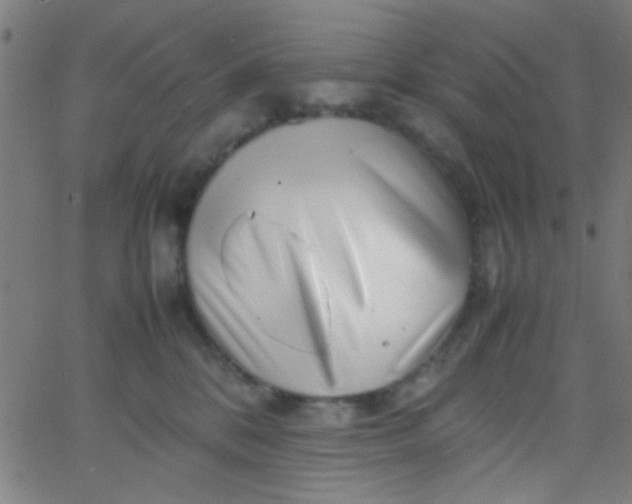 X0000067910328200604271924