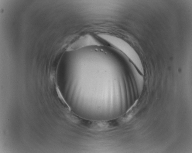 X0000067910329200604271924