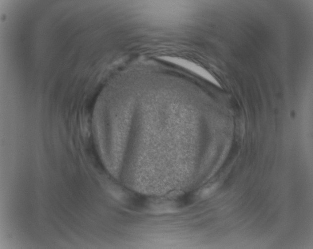 X0000067910331200604271924