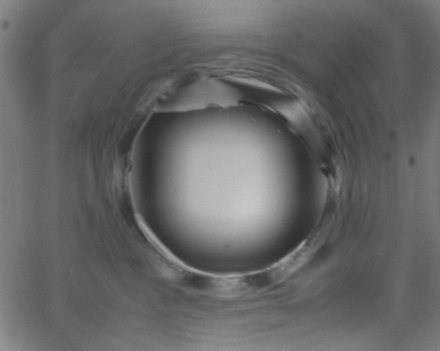 X0000067910333200604271924