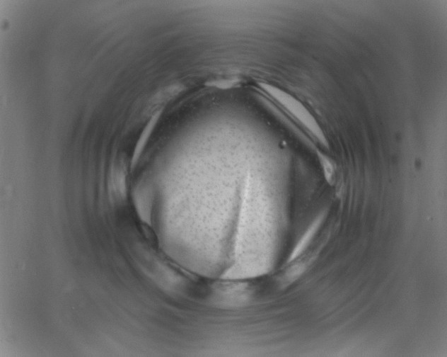 X0000067910334200604271924