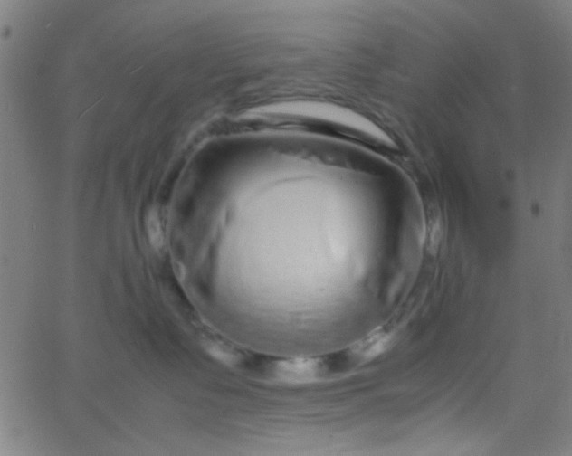 X0000067910335200604271924