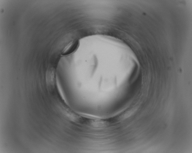 X0000067910336200604271924