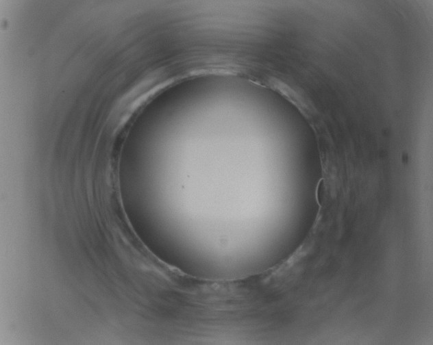 X0000067910338200604271923