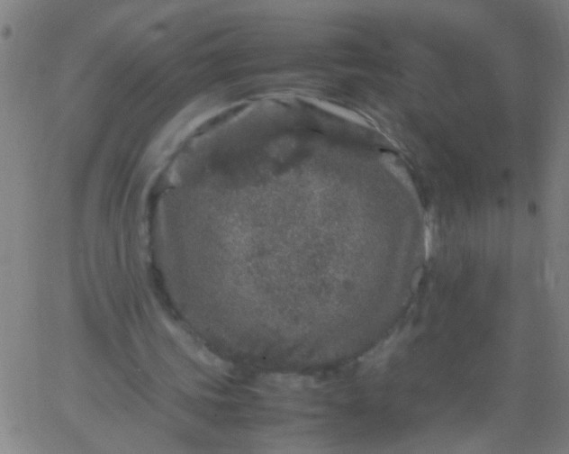 X0000067910339200604271923