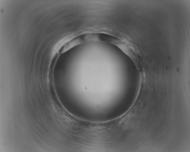 X0000067910340200604271923