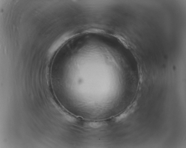 X0000067910341200604271923