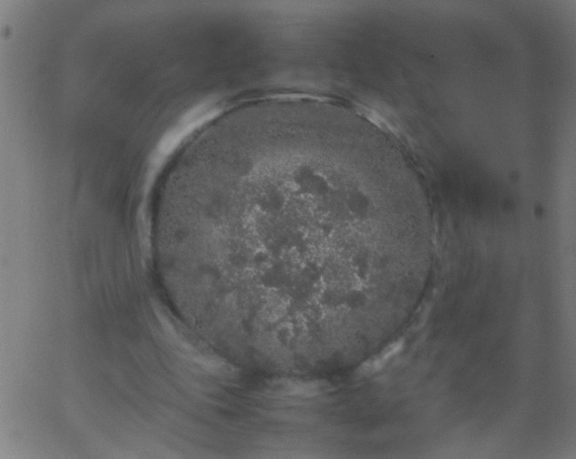 X0000067910343200604271923