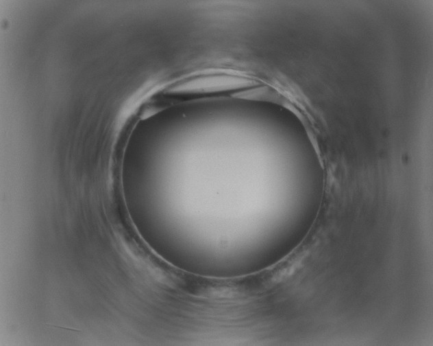 X0000067910344200604271923