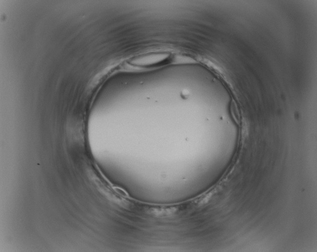 X0000067910345200604271923