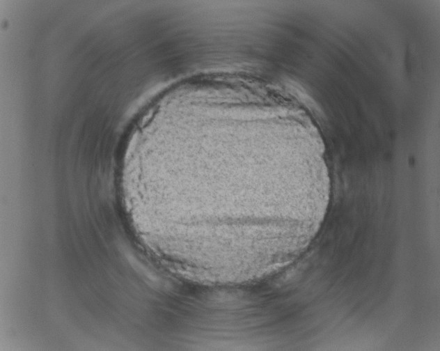 X0000067910346200604271923