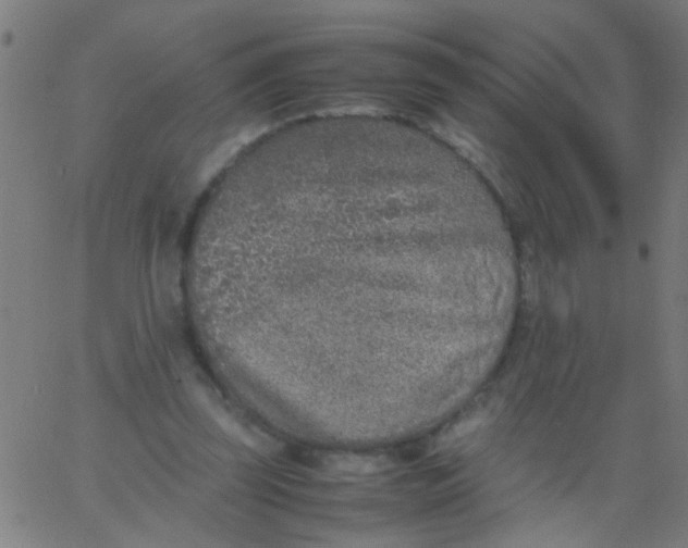 X0000067910347200604271923