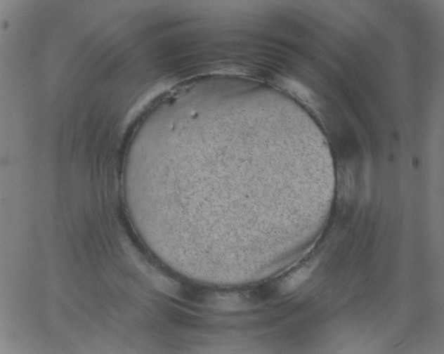 X0000067910349200604271923