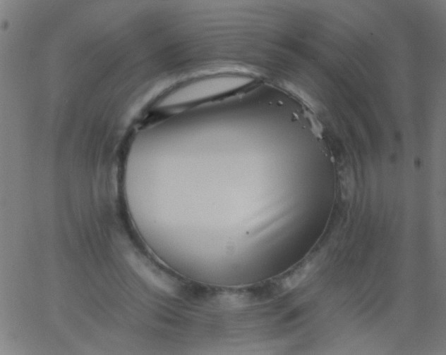 X0000067910350200604271923