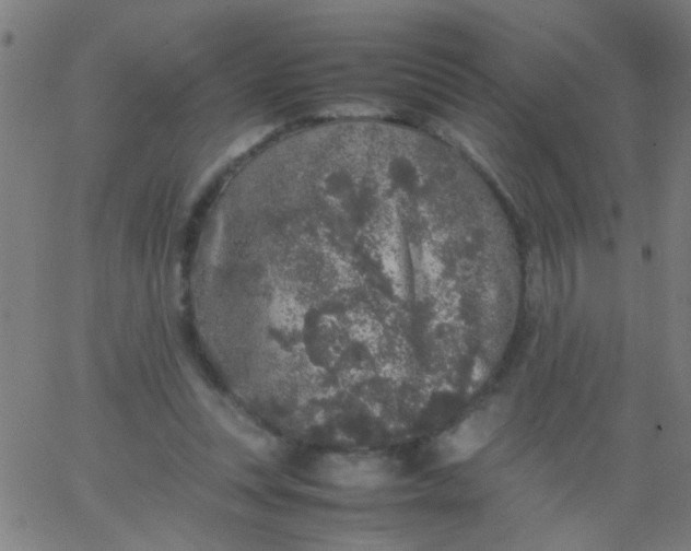 X0000067910351200604271923