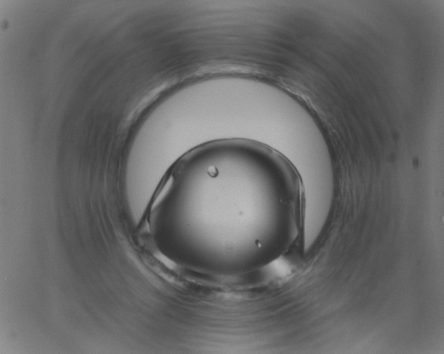 X0000067910352200604271923