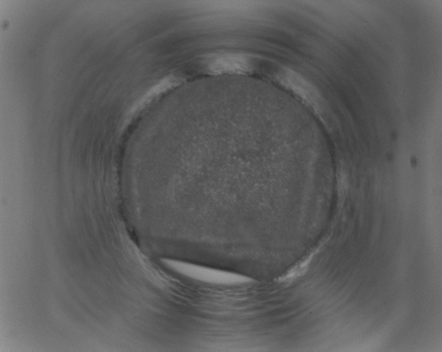 X0000067910353200604271923