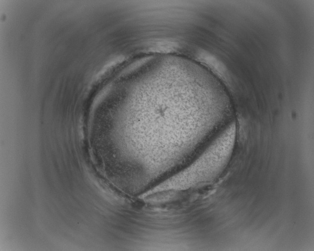 X0000067910354200604271923