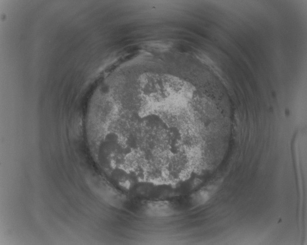 X0000067910355200604271923