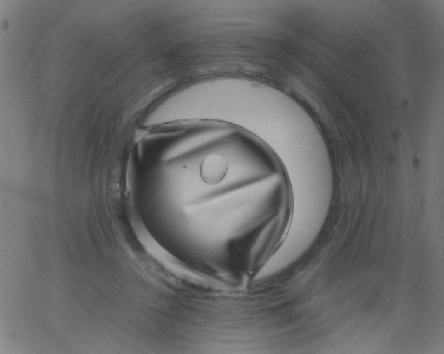 X0000067910356200604271923