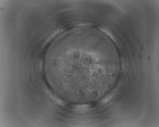 X0000067910357200604271923