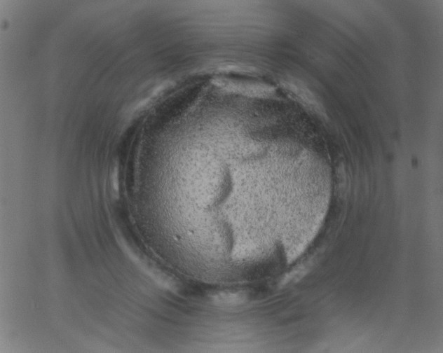 X0000067910358200604271924