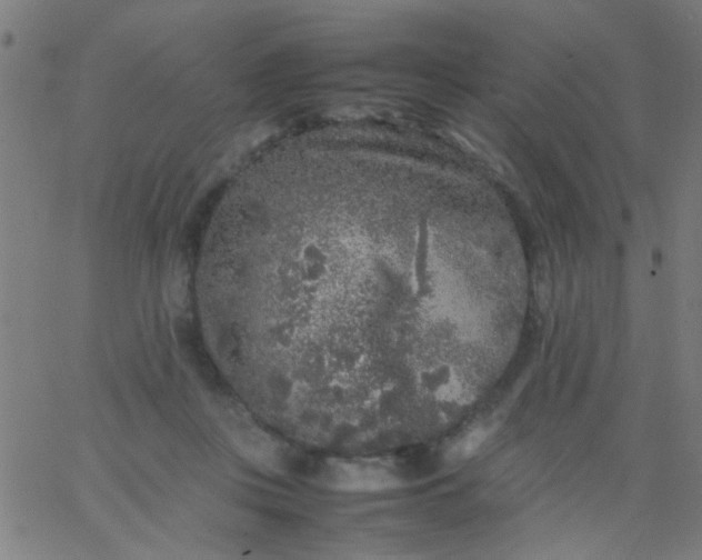 X0000067910359200604271924