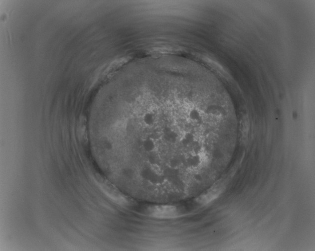 X0000067910361200604271924