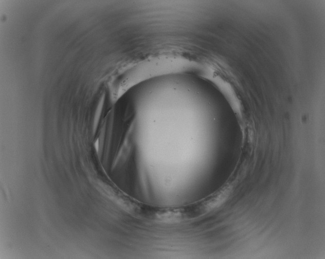 X0000067910362200604271924