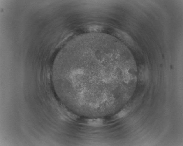 X0000067910363200604271924