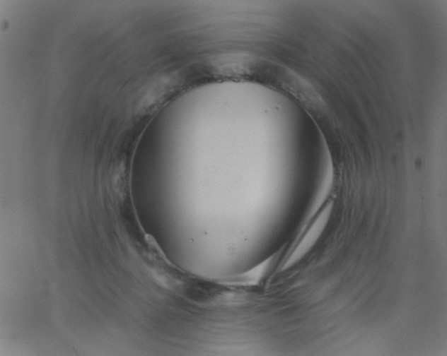 X0000067910364200604271924