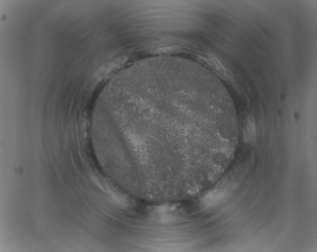 X0000067910366200604271924