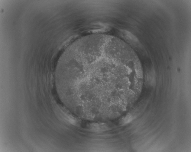 X0000067910367200604271924