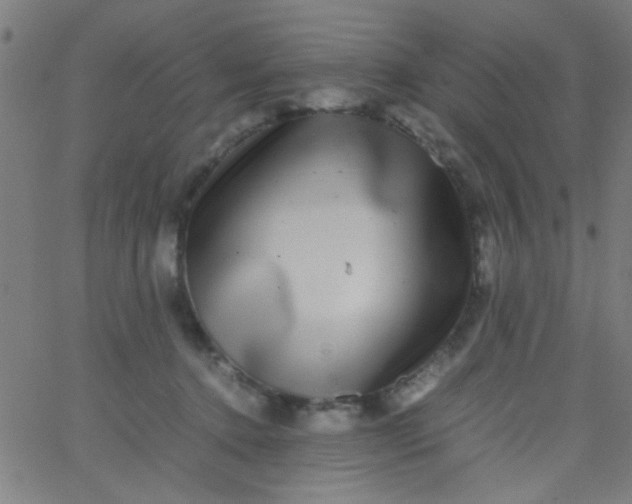 X0000067910368200604271924