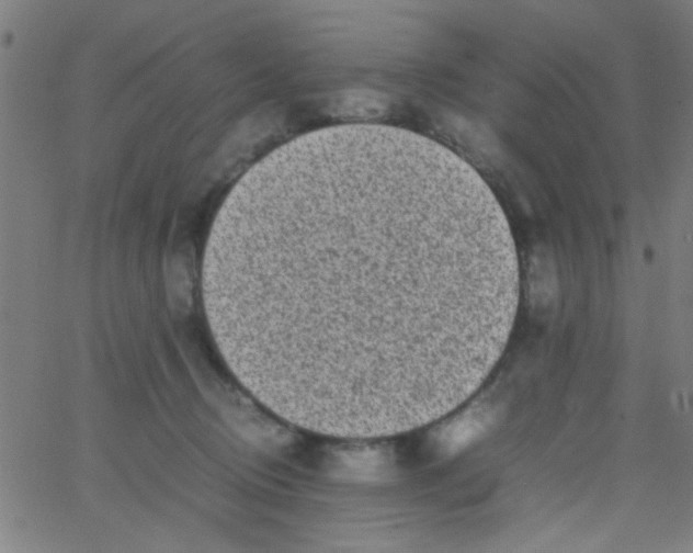 X0000067910370200604271924