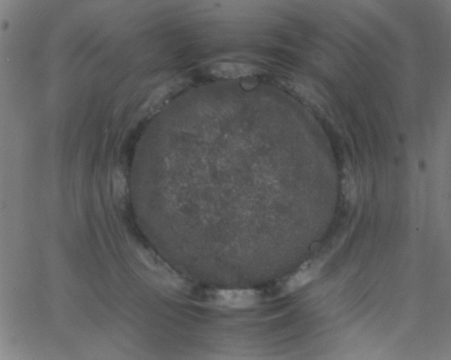 X0000067910371200604271924