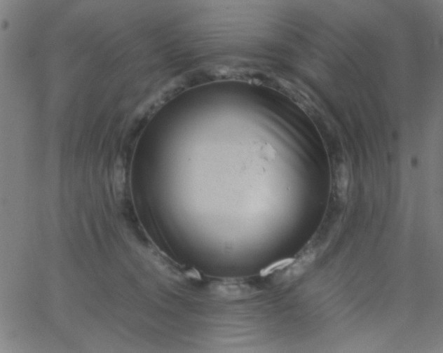 X0000067910372200604271924