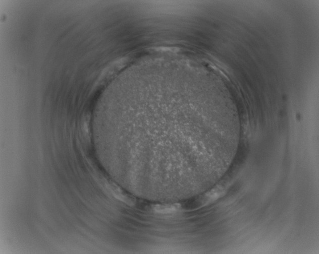 X0000067910373200604271924