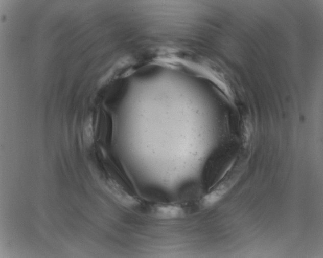 X0000067910376200604271924