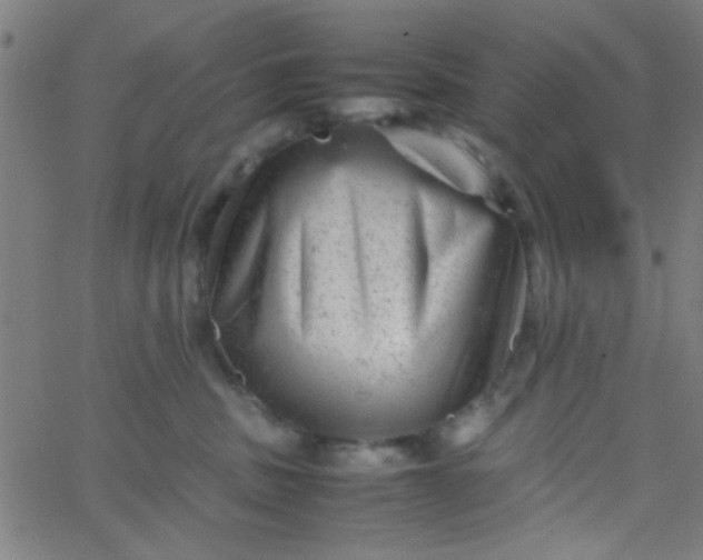 X0000067910379200604271924